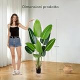 SEHAUSEU B0DT15X35K lato 2