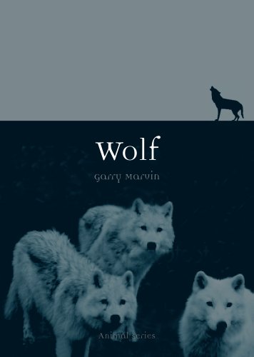 Wolf (Animal Series)