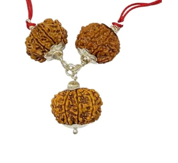 Rudraksha Kavach Mala 8,9,11 Mukhi Rudraksha Combination Nepali Rudraksh Beads Locket Kavach Mala 8 Mukhi 9 Mukhi 11 Mukhi Eight Face Nine Face Eleven Faced Rudraksh Mahadev Rudrakshas Pendant-image-4
