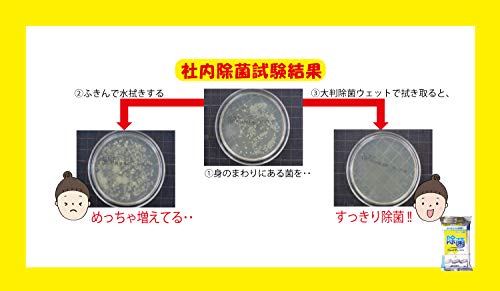 服部製紙 アルコール 除菌 ウェットティッシュ 大判シート 天然成分配合 シートサイズ約20×30cm やわらかウェットティッシュ NPF-9 20枚入 6枚目