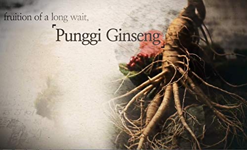 Authentic 6Years Korean Red Ginseng - 300Mg X 200 Tablets - Healthy Immune Support, Improving Blood Flow And Memory – 100% Red Ginseng Extract #TOP3