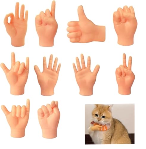 L̂ ~j`Aw 10{Zbg 킢 ʔ  L炵 _炩 Lk y ^ѕ֗  lC @\ ybgpi v[g Mtg 蕨