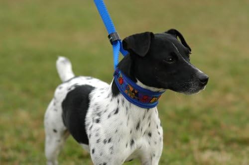 Large, EZSwivelLeash Signature Ribbon Pet Leash, Royal Blue