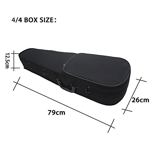 Eryue 4/4 Full Size Acoustic Eq Electric Violin Fiddle Kit Solid Wood Spruce Face Board With Bow Hard Case Shoulder Rest O Cable Extra Strings Clean Cloth Retro Sunset #TOP7