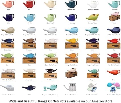 Ancient Impex Pot Neti en céramique 400 ml Vert menthe – Pot de nettoyage nasal anti-déversement avec 5 sachets de sel de Neti, passe au micro-ondes, kit ayurvédique Jala Neti pour soulager les sinus