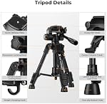 K&F Concept 25" Mini Desk Tripod for Camera with Remote, Max Load 8.8 lbs | Remote Control, Portable Travel Design, For DSLR Cameras Camcorder Phone Projector Spotting Scope