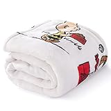 Berkshire VelvetLoft® Peanuts® Snoopy Cute Character Plush Throw Blanket, Peanuts Gang, Throw (55" x
