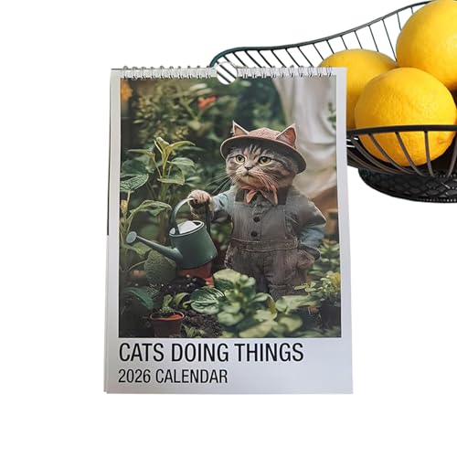 Ǌ|J_[LAqLǊ|J_[vi[ | 2026N킢ʔL̃XPW[}X[vi[ wZ/ItBX/z[fR[Vp