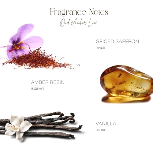 Image of BSOUL Oud Amber Luxe Car Air Vent Clip Perfume 8ml Pack Of 2 | Premium Wooden Car Diffuser with Essential Oils | Rich Oud, Amber & Spicy Notes | Long-Lasting Luxury Car Air Freshener (Brown)