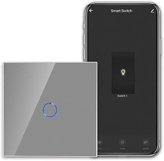 CNBINGO Smart Touch Lichtschalter Arbeiten mit Alexa, Google Assistant - WLAN Schalter Unterputz - mit Glas Panel - Wandschalter Einfach in Grau - Neutralleiter Wird Benötigt - 600W/Fach