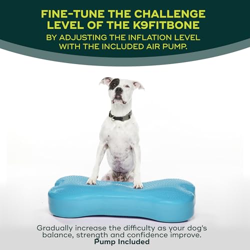 FitPAWS Giant Fitbone (blau)