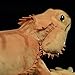 Imagen de lilizzhoumax Peluche de dragón barbudo de lagarto de 46 cm