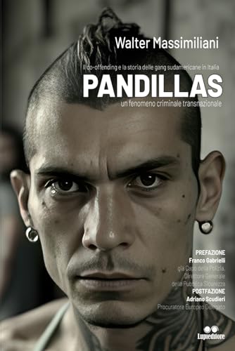 PANDILLAS: Il co-offending e la storia delle gang sudamericane in Italia - un fenomeno criminale transnazionale