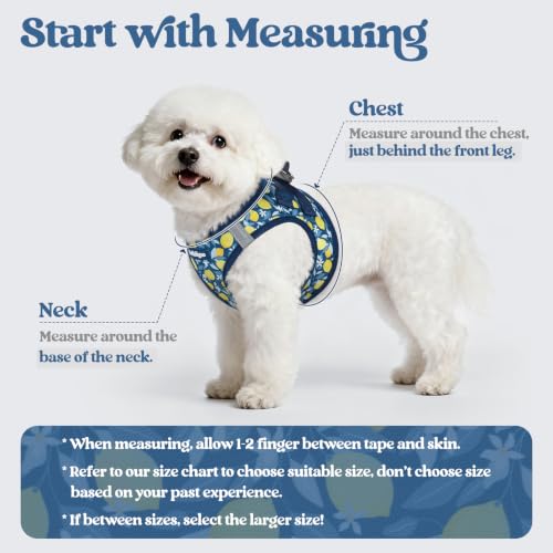 Image of rabbitgoo Dog Harness Small Sized and Leash Set, Step-in Puppy Pet Vest
