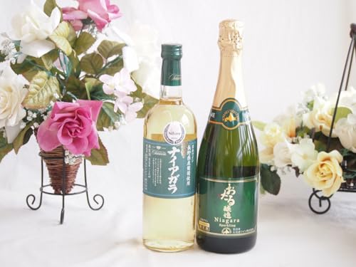쌧YiCAKgpCƍYC2{Zbg( iCAKXp[NOCÌ(kC)720mliCAKÌC(R)720ml