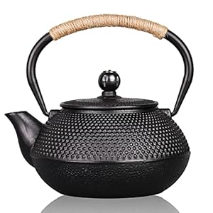 PARACITY Cast Iron Teapot Japanese Tetsubin Coated with Stainless Steel Infuser, Stovetop Tea Kettle for Boiling Hot…