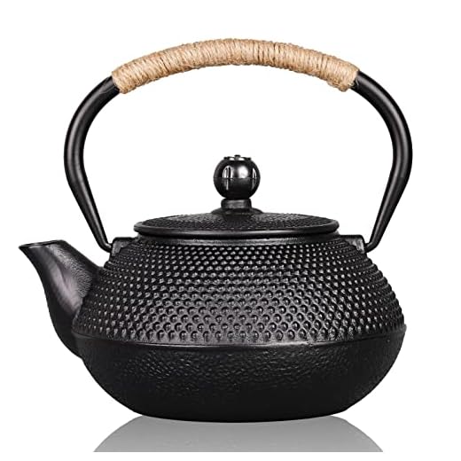 PARACITY Cast Iron Teapot Japanese Tetsubin Coated with Stainless Steel Infuser, Stovetop Tea Kettle for Boiling Hot Water Tea, Mothers Day Gifts from Daughter/ Son 23.5 Oz /700 Ml