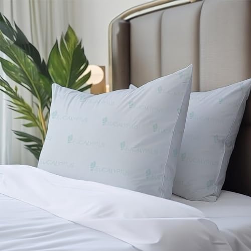 Clementine Luxury 2-Pack Eucalyptus Infused Pillow Ultra-Soft, Breathable for Side, Back & Stomach Sleepers - Sleeping Pillow
