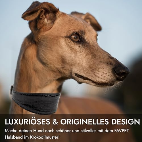 FAVPET Luxus Echtleder Windhund Halsband Breit mit QR Code Anhänger, Weiches Lederhalsband Hund Breit Whippet Italienisches Windspiel Saluki Lurcher Spanischer Galgo Greyhound Podenco (Schwarz, XS)