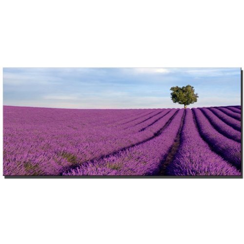 ps-art Peinture murale encadrée sur une véritable toile représentant un champ de lavande 130 x 70 cm