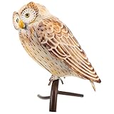 Charmant accent animalier : avec des décorations de maison en forme de hibou, ce hibou de jardin en fer apporte une touche de décoration de patio animalière animée à n'importe quelle cour, patio ou intérieur, incarnant une esthétique de campagne , une statue de hibou de table, des sculptures d'animaux vintage