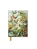 Ernst Haeckel: Hummingbirds (Foiled Pocket Journal) (Flame Tree Pocket Notebooks)