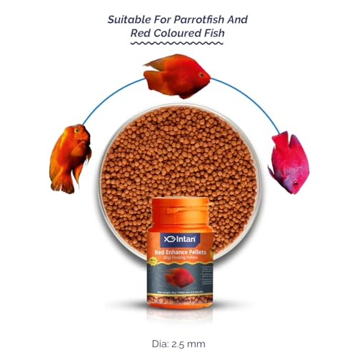 Image of Intan Red Enhance Pellets (Big 2.5mm Floating) | 30gm - Highly Nutritious Ornamental Fish Food for Parrotfish & Red Coloured Fish | Growel Feeds