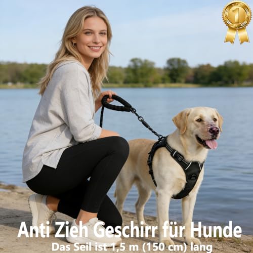 Anti Zieh Geschirr für Hunde – Ergonomisches Anti-Zieh-Design mit Griff & Schleppseil, Step-In-Design, Atmungsaktiv & Gepolstert, für Hunde jeder Größe (Orange, M)