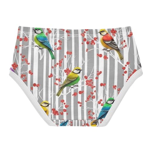 Colorful Birds White Branches Underwear Toddler Girl, Girls' Cotton Brief Underwear, 2T–8 Years2