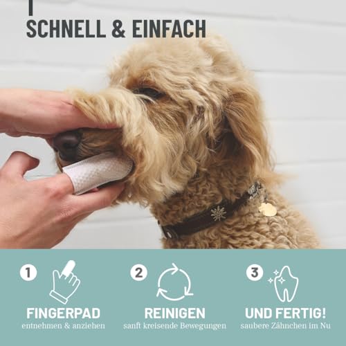 ReaVET Denta Vital - Zahnpflege Finger-Pads für Hunde & Katzen 50 Stück – Zahnreinigung, Zahnpflege ohne Zahnbürste Zahnsteinentferner I Fingerpads, Fingerlinge gegen Mundgeruch