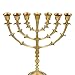 Salomons Menorah 7 Branch, Salomons Menorah .Antique Replica Solid Brass/Copper 12