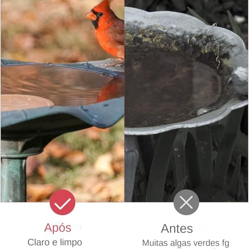 Disco De Fonte De Água Para Banheiros De Pássaros - Ornamentos De Disco De Banho,Acessórios Para Ali