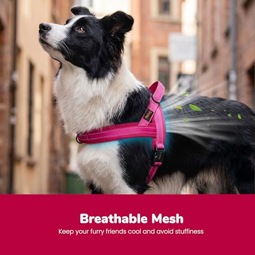 Image of Didog No Pull Dog Harness for Medium Dogs, Breathable Mesh, Hot Pink, M | Quick Fit, Easy On and Off, Lightweight, Reflective Vest Harness for Night Safty, Easy for Walking and Training, Chest 21-26 inch