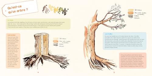 Je découvre les arbres: Et j'apprends à les reconnaître – vue 5