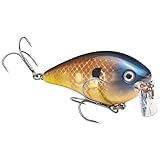 Strike King (HCKVD2.5W-622) KVD 2.5 Wake Bait Fishing Lure, 234 - Bluegill, 3/8 oz, Unique Clacking Sound