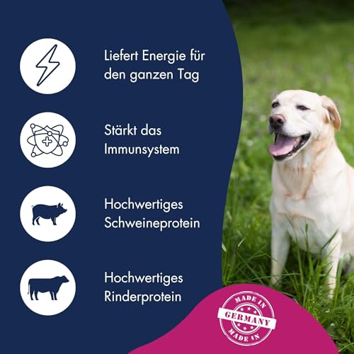 DR.CLAUDER’S - Basic Nature Energy | Trockenfutter für aktive, ausgewachsene Hunde zur Unterstützung der Vitalität durch Proteine und Ballaststoffe. Alleinfuttermittel im Beutel | 20kg