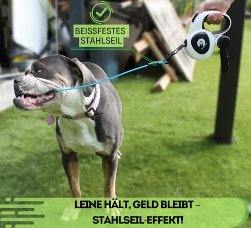 Snuggle Paws Ausziehbare Hundeleine 5m – Kompakt & Leicht: LED-Lampe, Integrierter Kotbeutelspender, Anti-Kau-Stahlseil, Reflektierendes Nylonband | Rollleine für kleine Hunde bis 20 kg
