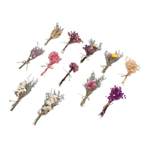 Pissente 12 piezas ramos secos pequeños decorativos miniatura 4