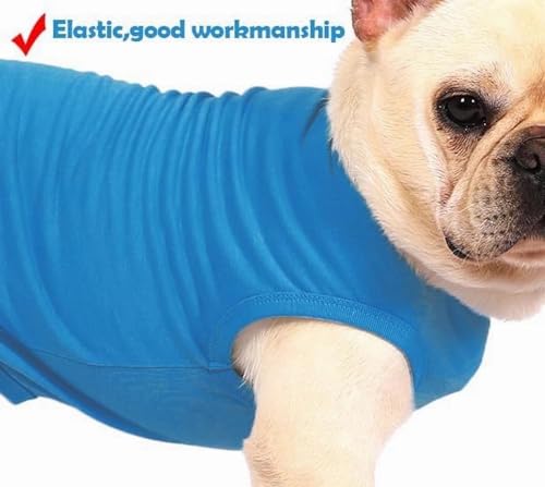 Sychien Dog Blank Blue Shirt,Boy Girl Dogs Extra Large Cotton Tee Shirts,Plain Labrador T-Shirt,XXL Blue Royal by SyChien - Image 5