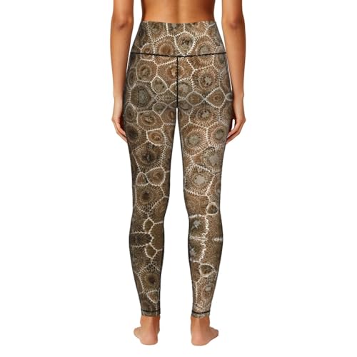 Leggings de compresión Petoskey para fitness y tu rutina diaria 4