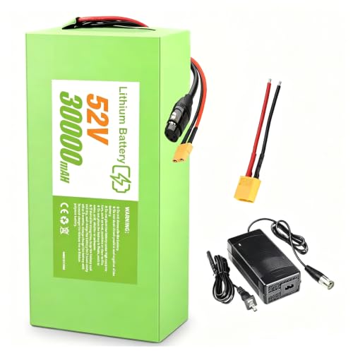 LOCKBUS 52V 30Ah E-Bike Battery