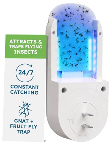 BugMD No Buzz Zone Fruit Fly Trap for Indoors...