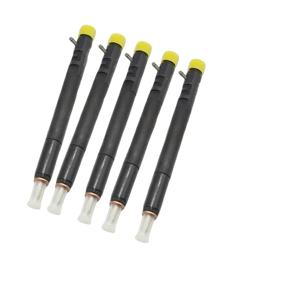 Fuel Injectors 5PCS EJBR04601D EJBR04701D EJBR04401D EJBR02601Z EJBR04501D EJBR03401D for Delphi for SsangYong Diesel Fuel Injector