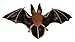 Safari Ltd Incredible Creatures Townsend's Big-Eared Bat