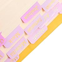 WJIAAA Bibelregister für Frauen,96 Stück Bibelregister Deutsch,Bibel Zubehör mit Leeren Laminierten Bibelreitern Studium Bibel Journaling Zubehör GoldfolienprägungRosa