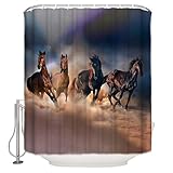Queen Area Fabric Shower Curtains for Bathroom,Masculine Four Running Horses, Dusty Desert Theme Hom