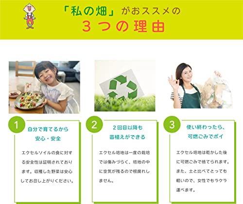 子どもも簡単にできる！家庭菜園（水耕栽培）キット『私の畑』(トレイタイプ) ベランダ菜園 サニーレタス 自由研究 室内 7枚目