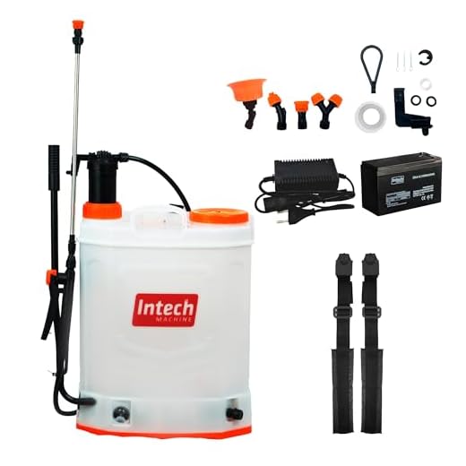 Intech Machine GPM2000 20 litros (costal a bateria)