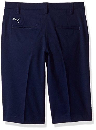 Puma Golf 2017 Boy's Pounce Short2