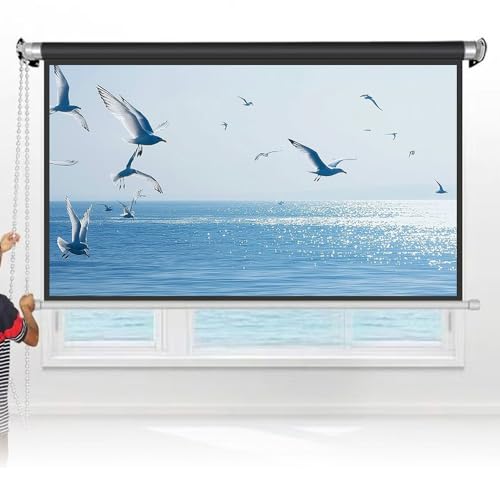Pantalla Manual de Proyector 60 pulgadas 16:9 miniatura 1
